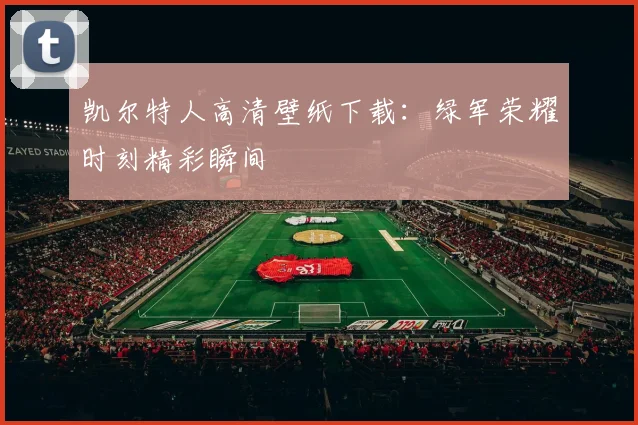 凯尔特人高清壁纸下载：绿军荣耀时刻精彩瞬间