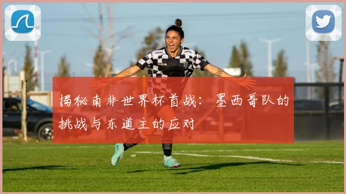 揭秘南非世界杯首战：墨西哥队的挑战与东道主的应对