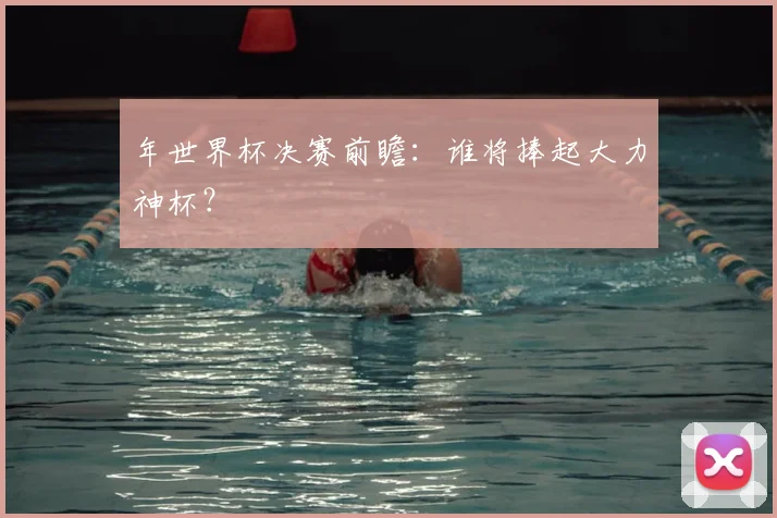 年世界杯决赛前瞻：谁将捧起大力神杯？