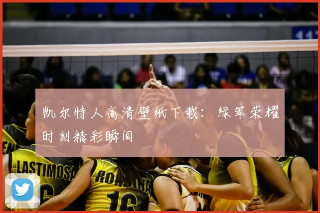 凯尔特人高清壁纸下载:绿军荣耀时刻精彩瞬间
