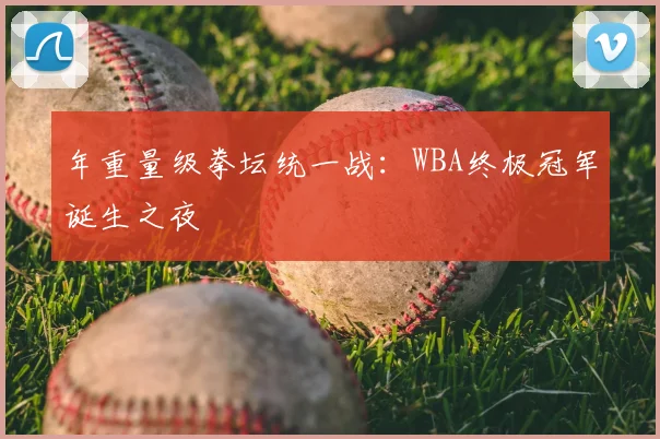 年重量级拳坛统一战：WBA终极冠军诞生之夜