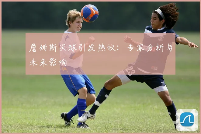 詹姆斯买球引发热议:专家分析与未来影响